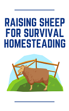 Raising Sheep for Survival Report