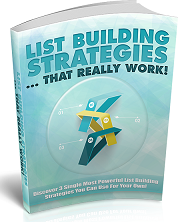 List-Building-Strategies-eBook-PLR-Ebook