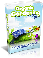 Organic Gardening Tips eBook