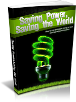 Saving Power Saving the World eBook