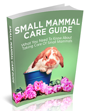 Small Mammal Care Guide eBook