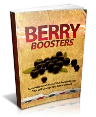 Berry Boosters Ebook